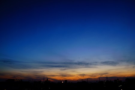 江戸川土手