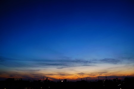 江戸川土手