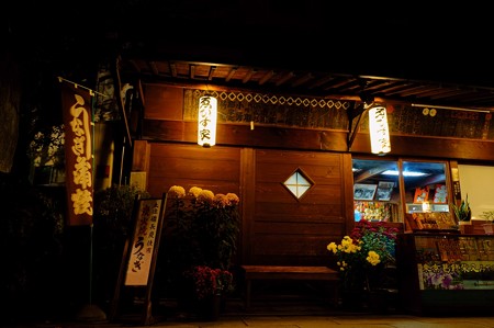 柴又帝釈天　参道
