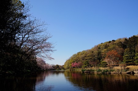 じゅんさい池緑地