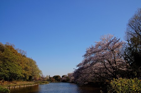 じゅんさい池緑地