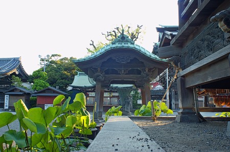 柴又帝釈天