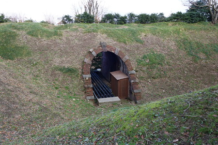DSC00783