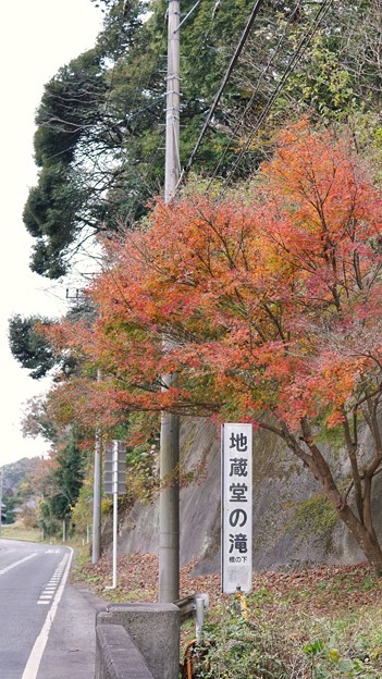 DSC02194-01千葉もみじロード