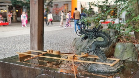 川越氷川神社 DSC02318-01