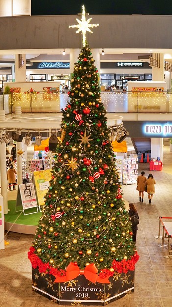 入間アウトレット(X’masツリー)DSC02330-01