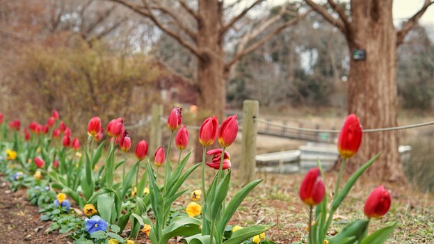 船橋アンデルセン公園