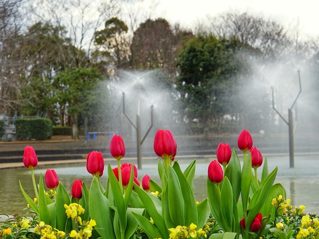 船橋アンデルセン公園