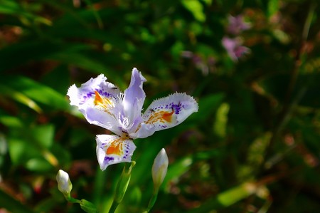 P1200437