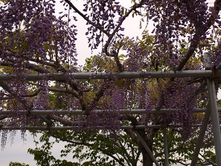 P1080233