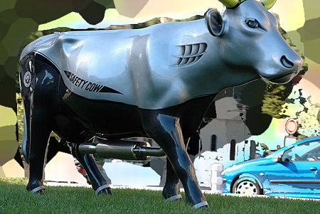 safety_cow2