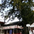 長野戎神社