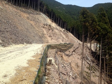 千ヶ峰・三国岳線南側行き止まり