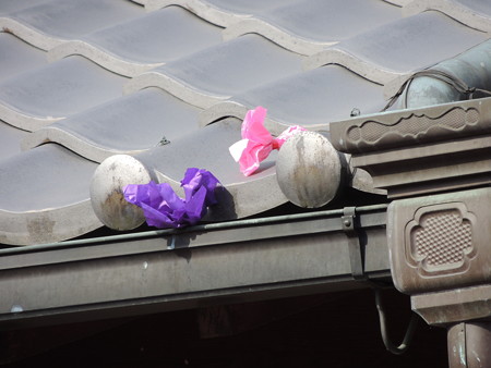 風に吹かれて屋根に。