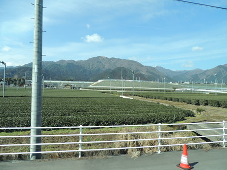 のどかー。