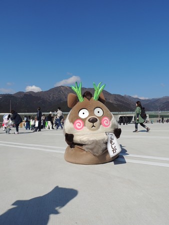 しゃがんでみた。