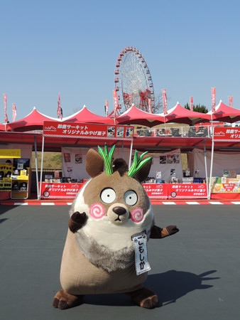 去年の感謝祭。