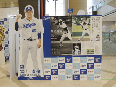 愛知県出身。