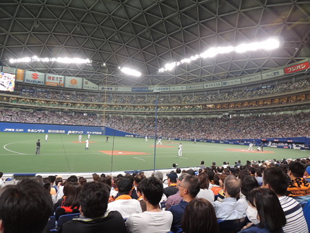 ここから応援。