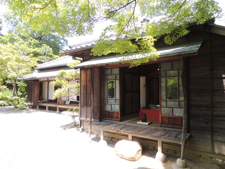 東京都文京区より。
