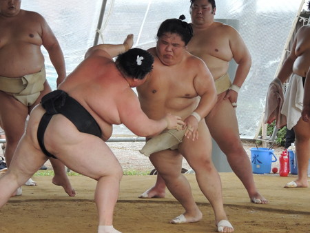 けっこう静かな感じ。