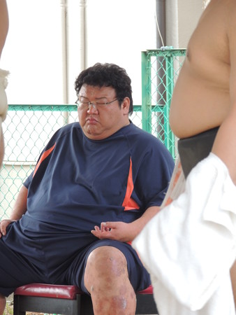 追手風親方。