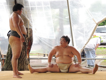 大翔丸関。