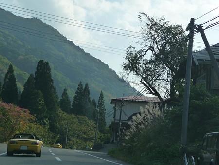写真00465