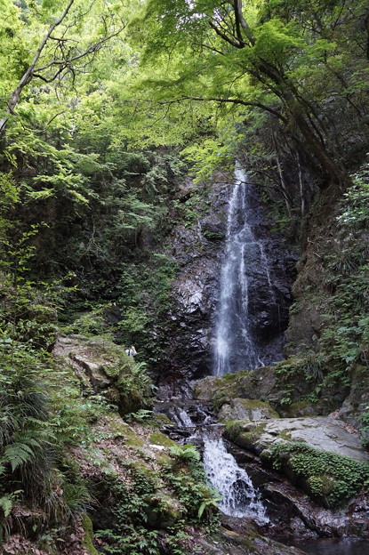 Photos: 檜原村 払沢の滝