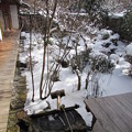 宝泉院・鶴亀の庭3