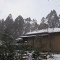 宝泉院・日新庵