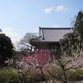 智積院・金堂1