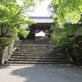 曼殊院・表門