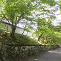 曼殊院