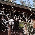 北野天満宮3