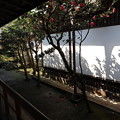 法然院・玄関中庭5