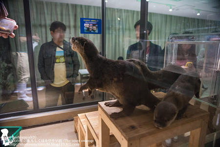 kaiyukan140526077