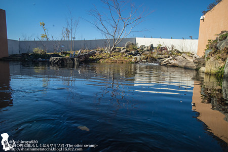 fukushima151220002