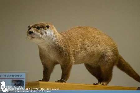 zoorasia180103002