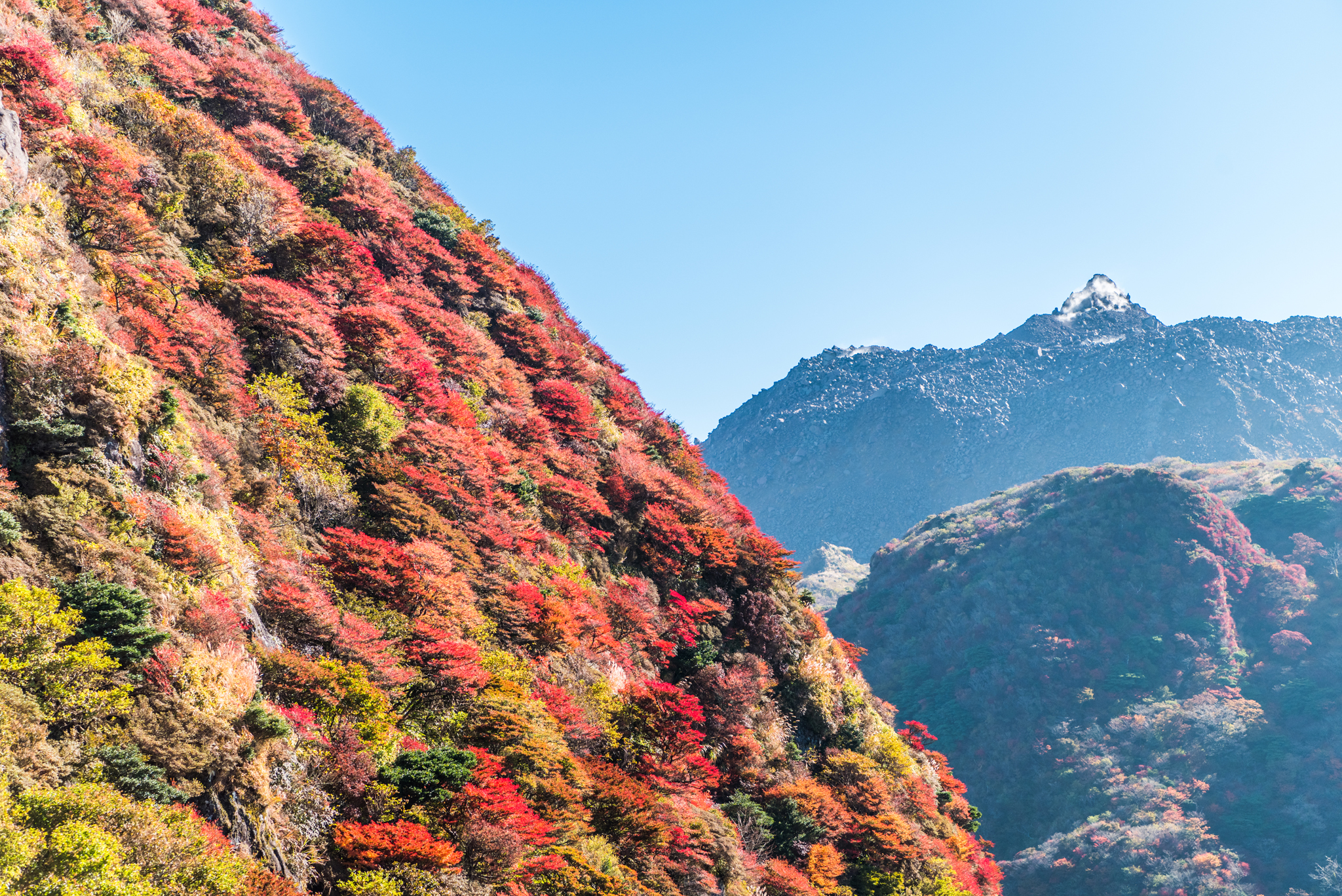 国見岳の紅葉と平成新山