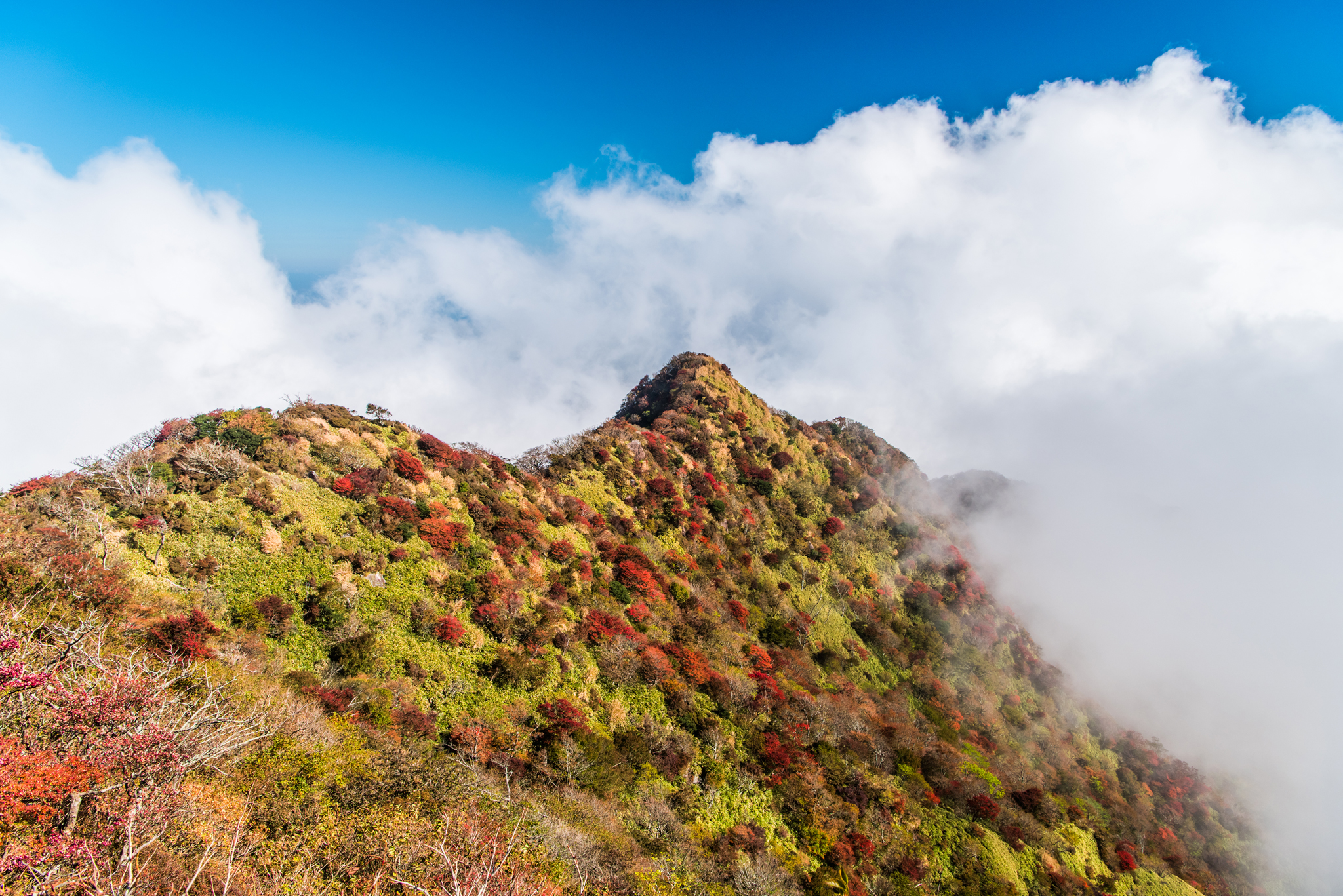 国見岳山頂から東側