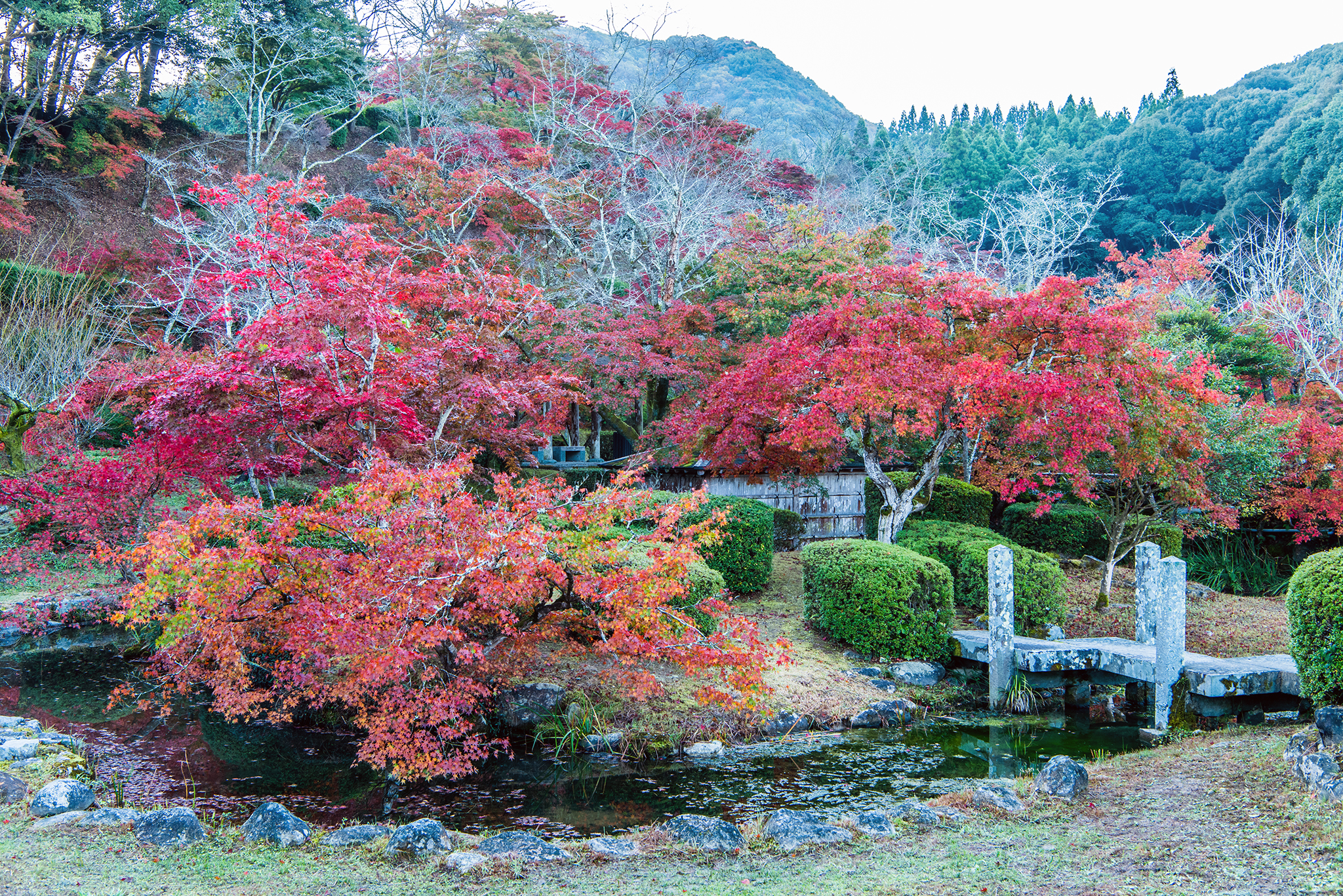 西渓公園-1