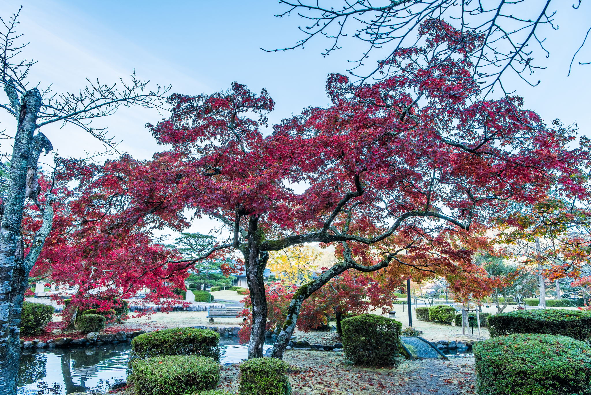 西渓公園-5