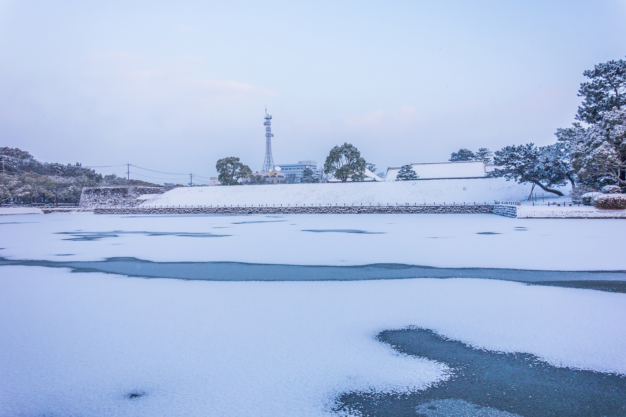 雪の佐賀城趾