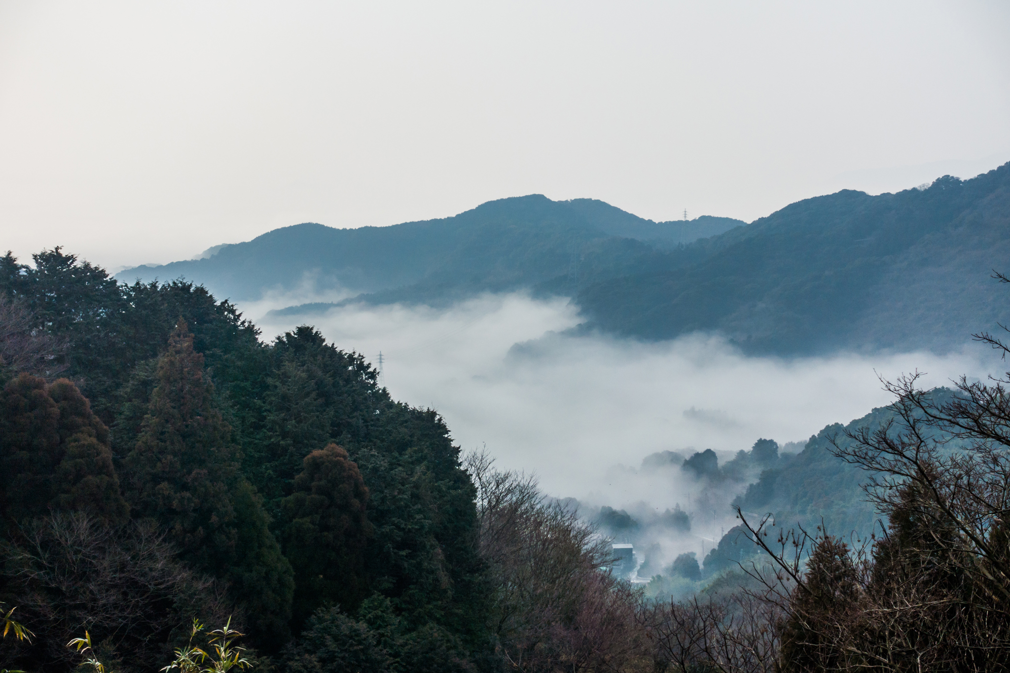 霧を抜けると