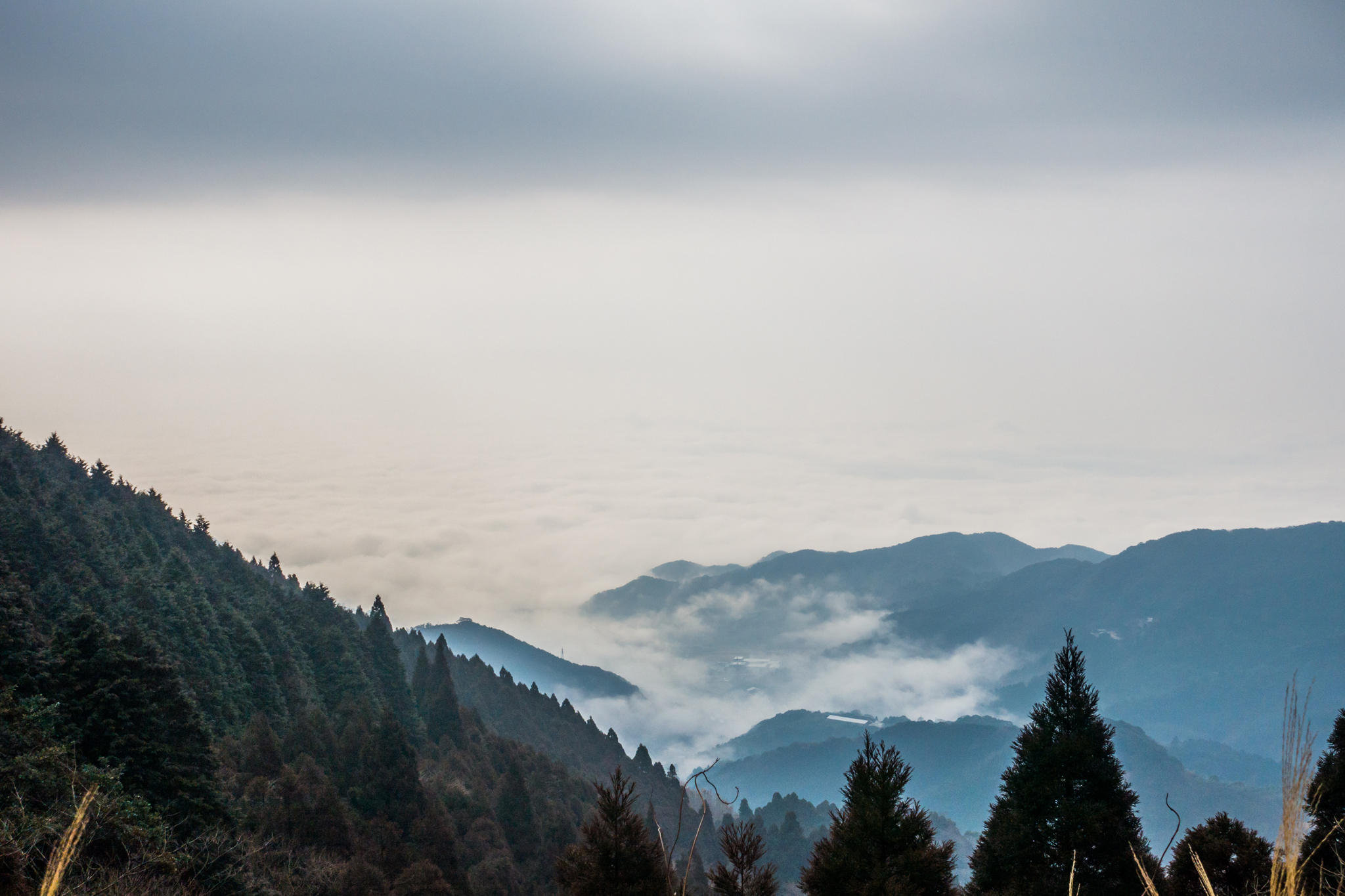 霧の佐賀平野