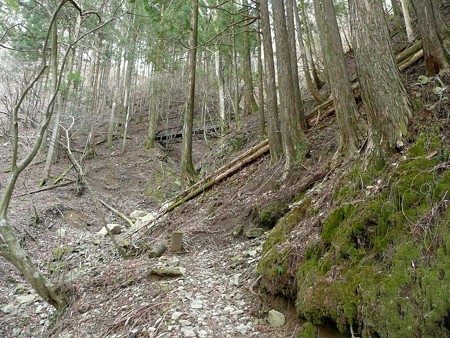 八丁池へ続くハイキングコース