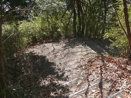 本城山南側へと下る道