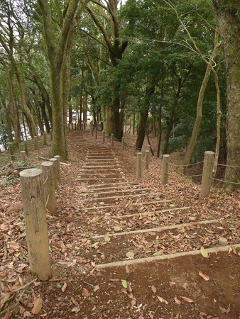 北ノ丸跡から国道へ続く階段