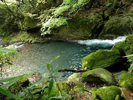 須津川上流の流れ